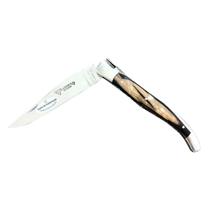 Laguiole en Aubrac Stainless Steel Knife with Artic Handle, 4.8-Inches