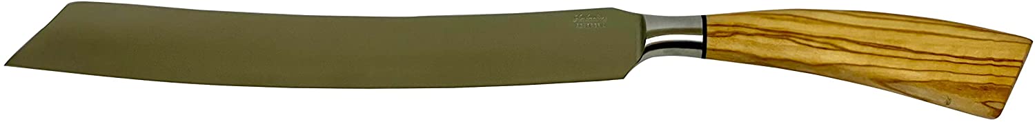 Coltelleria Saladini Stainless Steel Slicing Knife with Olive Wood Handle, 9-Inch