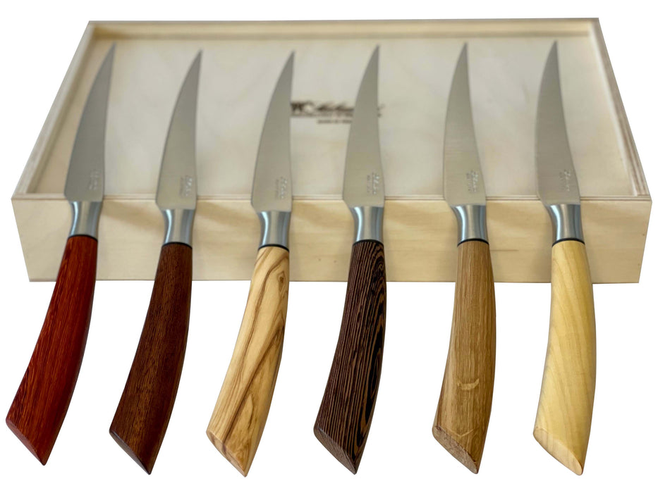 Coltelleria Saladini Stainless Steel 6-Piece Steak Knife with Mixed Wood Handle, 4-Inches