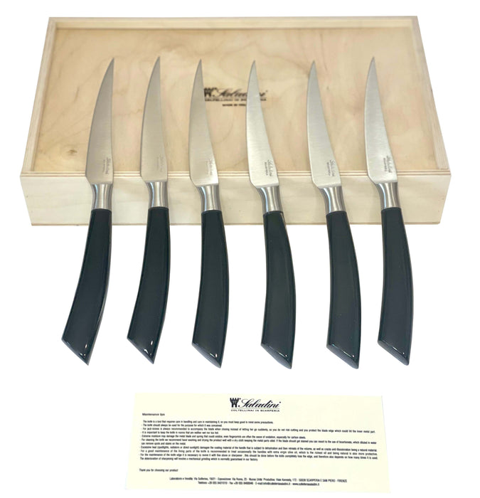 Coltelleria Saladini Stainless Steel 6-Piece Steak Knife with Buffalo Horn Handle Set, 4-Inches