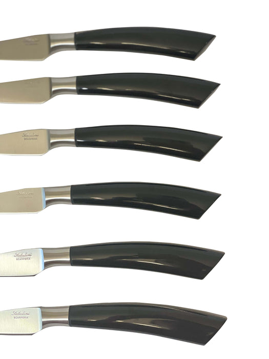 Coltelleria Saladini Stainless Steel 6-Piece Steak Knife with Buffalo Horn Handle Set, 4-Inches
